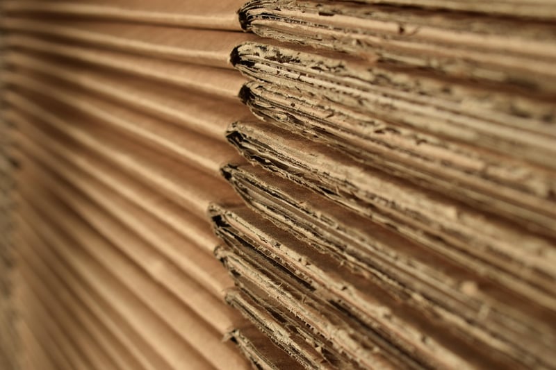 Cardboard Organizer